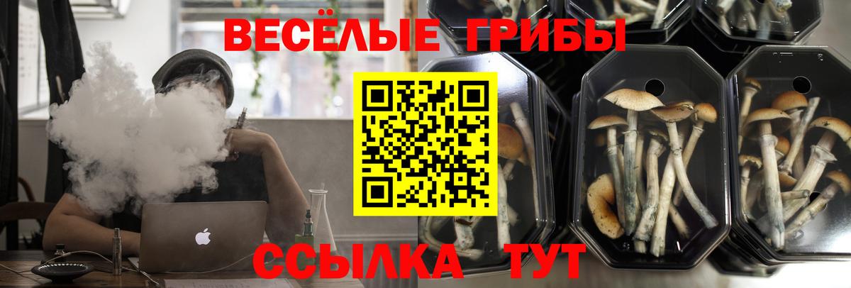 Кандалакша  Псилоцибиновые грибы ЛСД  Псилоцибиновые грибы ЛСД  Вход с VPN 